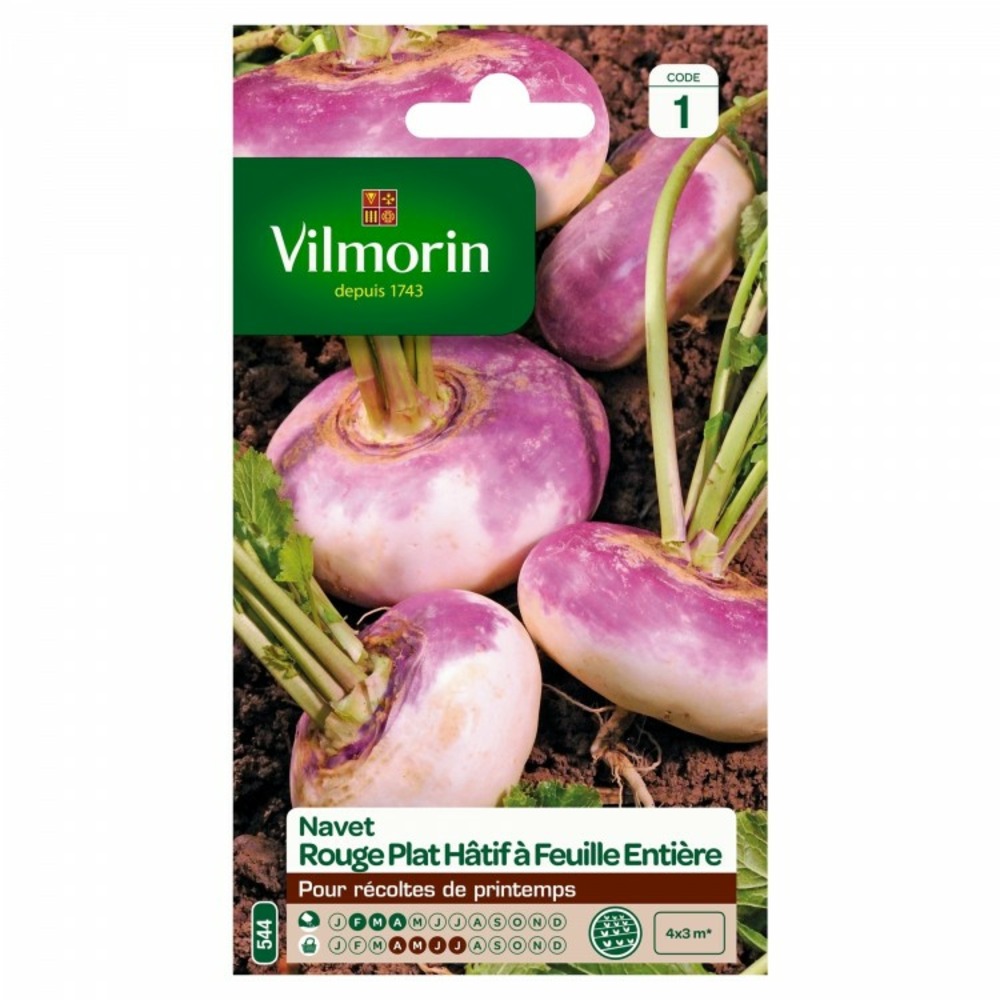 Navet rouge plat hâtif à feuille entière