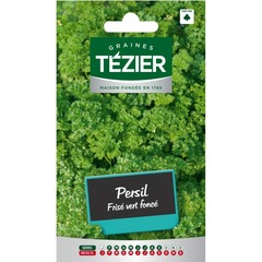 Tezier - persil frisé vert foncé