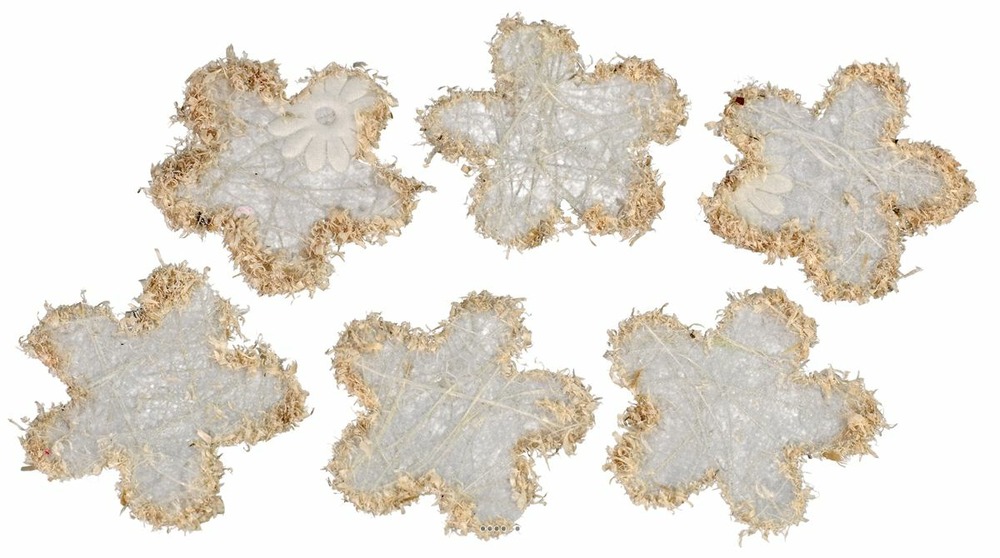 Têtes de fleurs folles x 6 pcs p sach champagne - couleur: crème