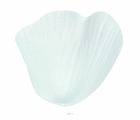 Petales de Rose artificiels x 100 Blanc avec Feuilles en tissu