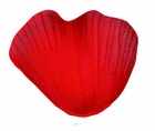 Pétales de rose artificiels x 100 rouge avec feuilles en tissu - couleur: rouge