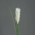 Herbe de la pampa artificielle h 97 cm superbe plumeau crème - couleur: crème