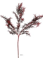 Branche de feuilles de mirte artificielle h 62 cm plastique ext rouge - couleur: