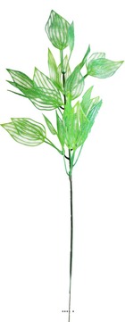 Branche de feuilles d'aponogeton artificielle H 45 cm plastique ext
