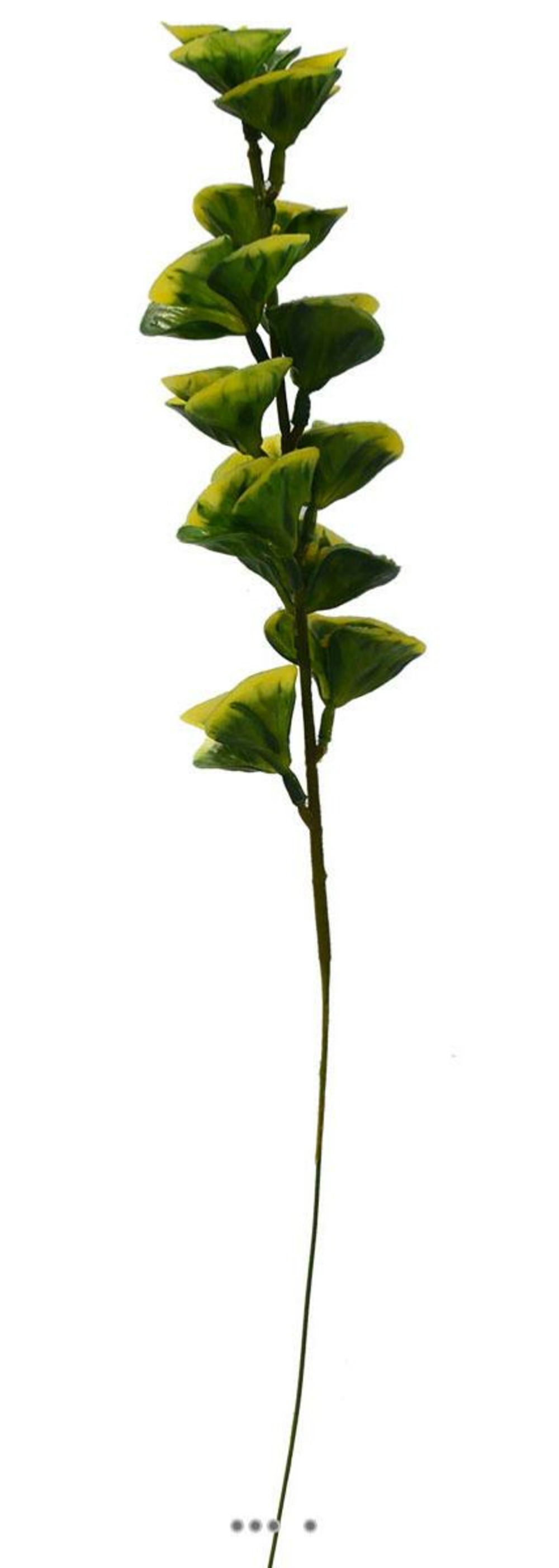 Bupleurum en pic plastique artificiel panache