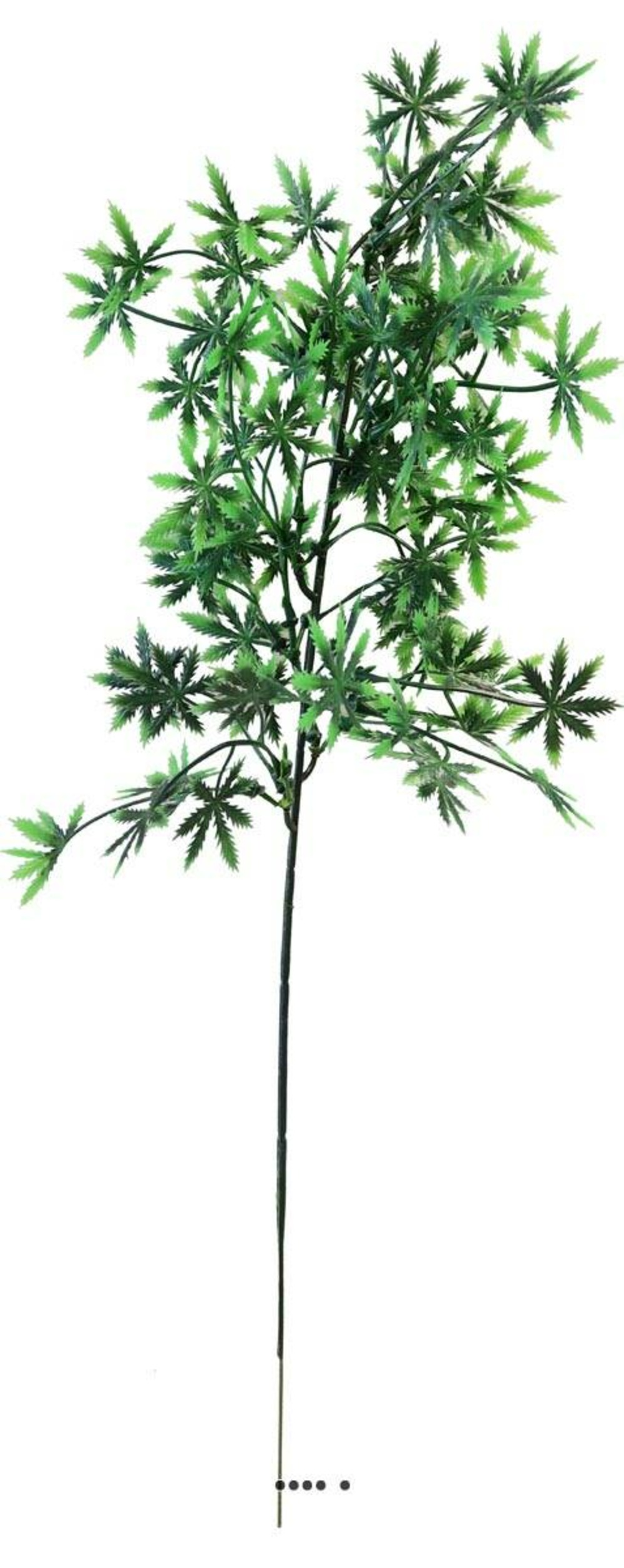 Aralia, Acer en pic plastique artificiel vert