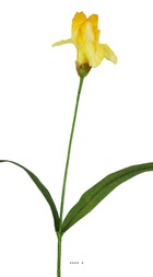 Iris artificiel h 65 cm superbe tête tissu vanille - couleur: vanille