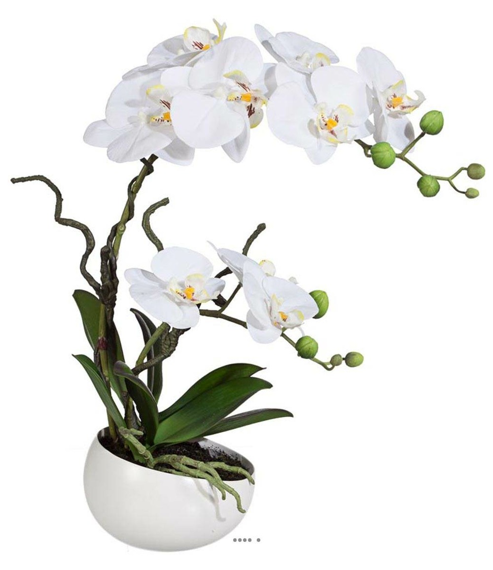 Orchidee factice 2 hampes en coupe ceramique h45cm touché réel crème - couleur: