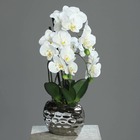 Orchidee artificielle 3 hampes en pot ceramique argent h 55 cm crème - couleur: