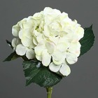 Hortensia artificiel en tige 1 tête 3 feuilles h 50 cm top crème - couleur: crèm