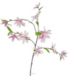 Magnolia artificiel h90 cm en branche 12 fleurs et 9 boutons rose pâle - couleur