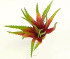 Aloé artificiel en piquet vert-rouge h 23 cm 26 feuilles en piquet