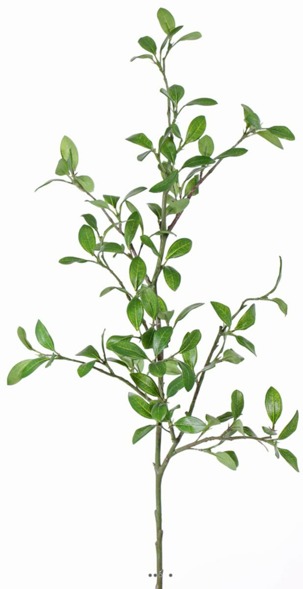 Troène vert artificiel en branche h 105 cm avec 113 feuilles tissu