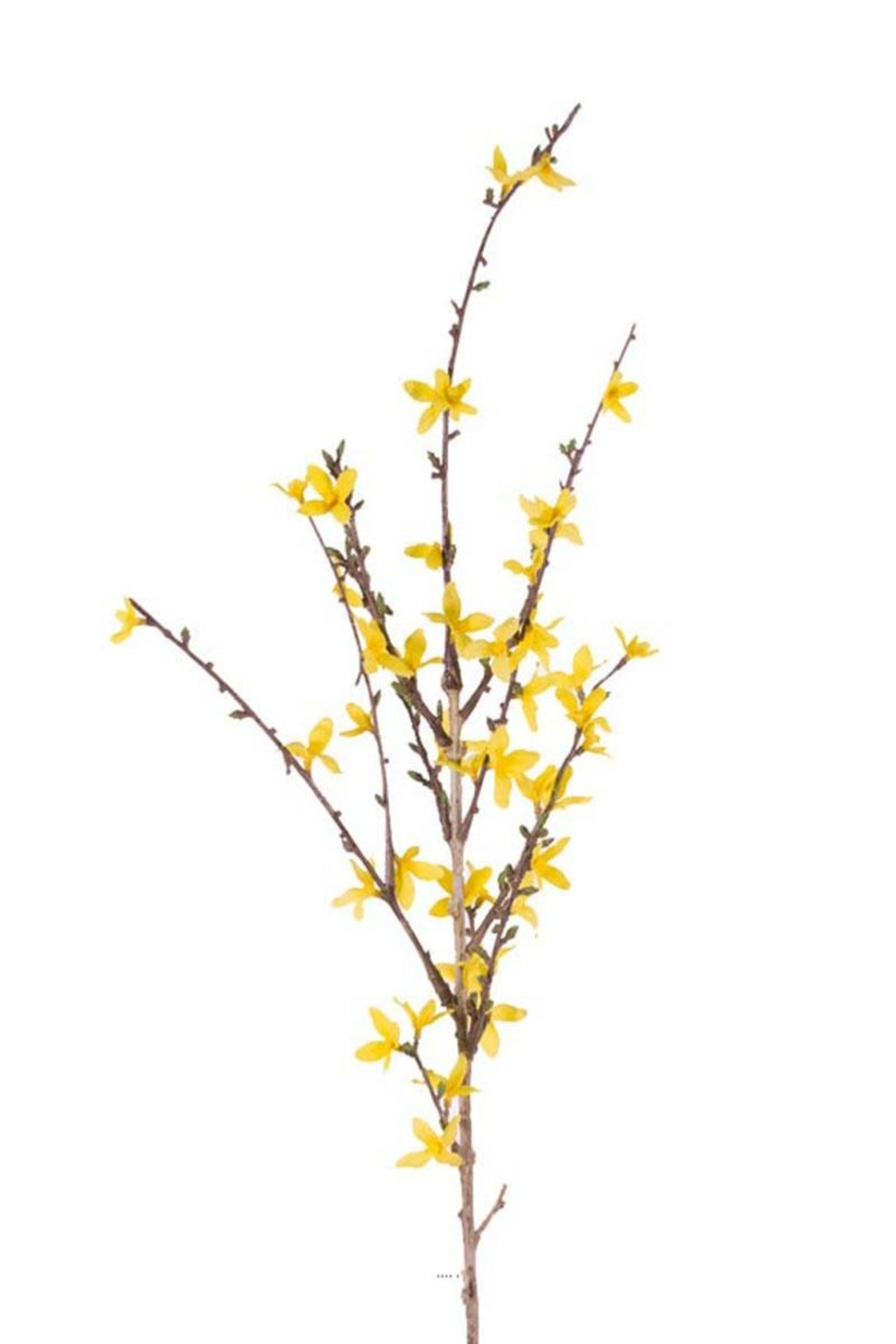 Branche de Forsythia artificiel Jaune H 88 cm