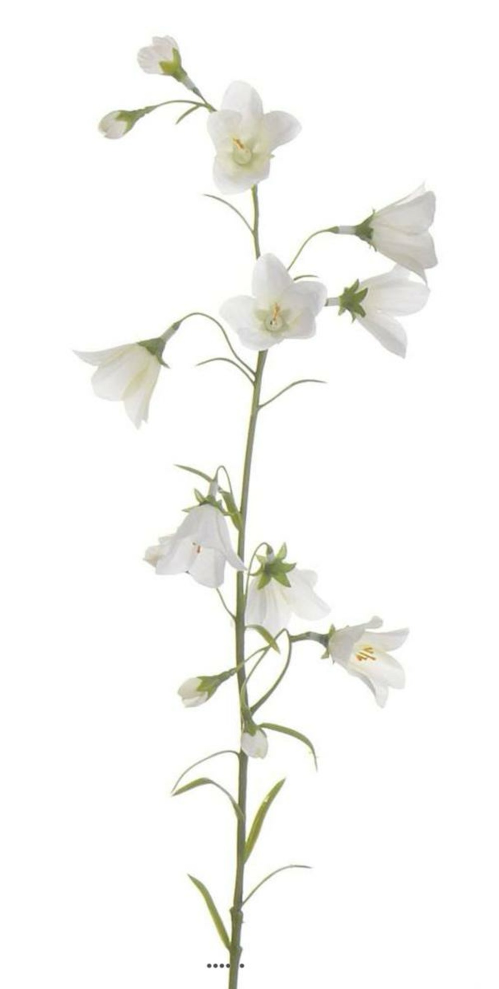 Campanule faux en tige fleur des champs h65cm idéal bouquet blancneige - couleur