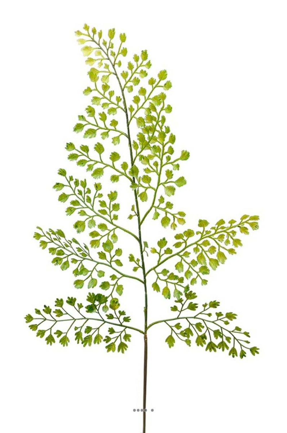 Adiantum artificielle en branche h 59 cm très aérienne l 20 cm