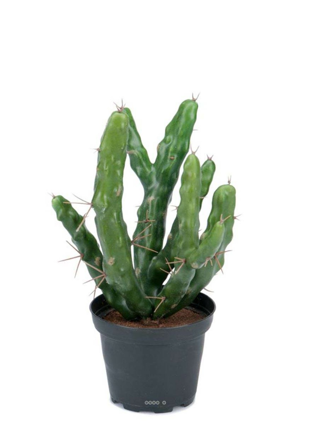 Cactus cierge artificiel cactée succulente en pot h 22 cm d 13 cm