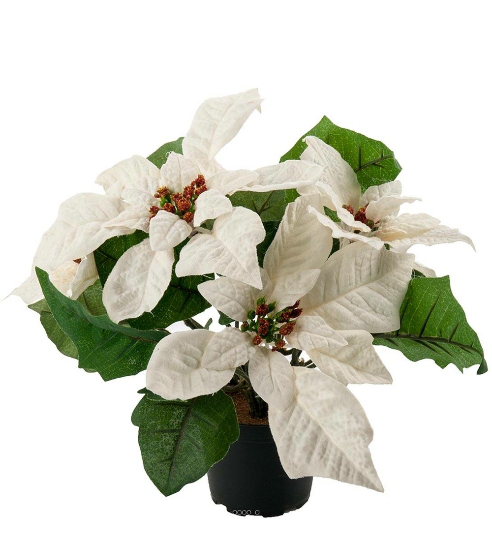 Poinsettia artificiel en pot h 26 cm très dense 5 fleurs crème - couleur: crème