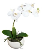 Orchidee artificielle 1 hampe en pot ceramique h 26 cm blanc neige - couleur: bl