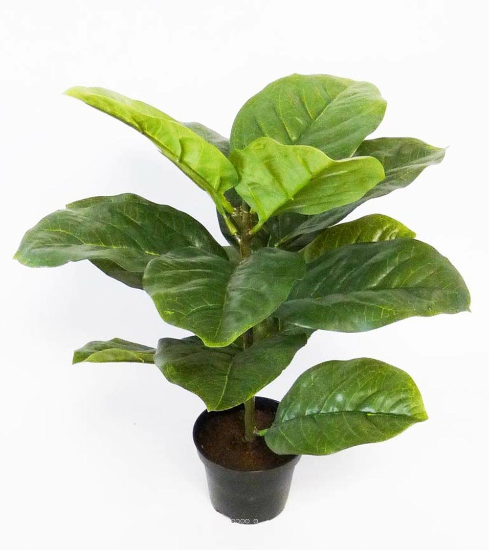 Ficus lyrata artificiel vert h 40 cm en pot superbe effet