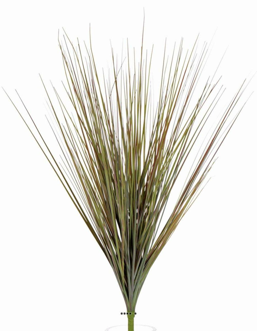 Isolepsis artificiel h 64 cm tête large rouge-vert