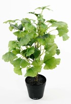 Ginkgo biloba plante artificielle en pot h 45 cm très dense