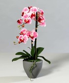 Orchidée factice 2 hampes pot ceramique h57cm touché réel rose fushia - couleur: rose fushia