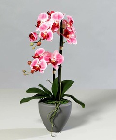 Orchidée factice 2 hampes pot ceramique h57cm touché réel rose fushia - couleur: rose fushia