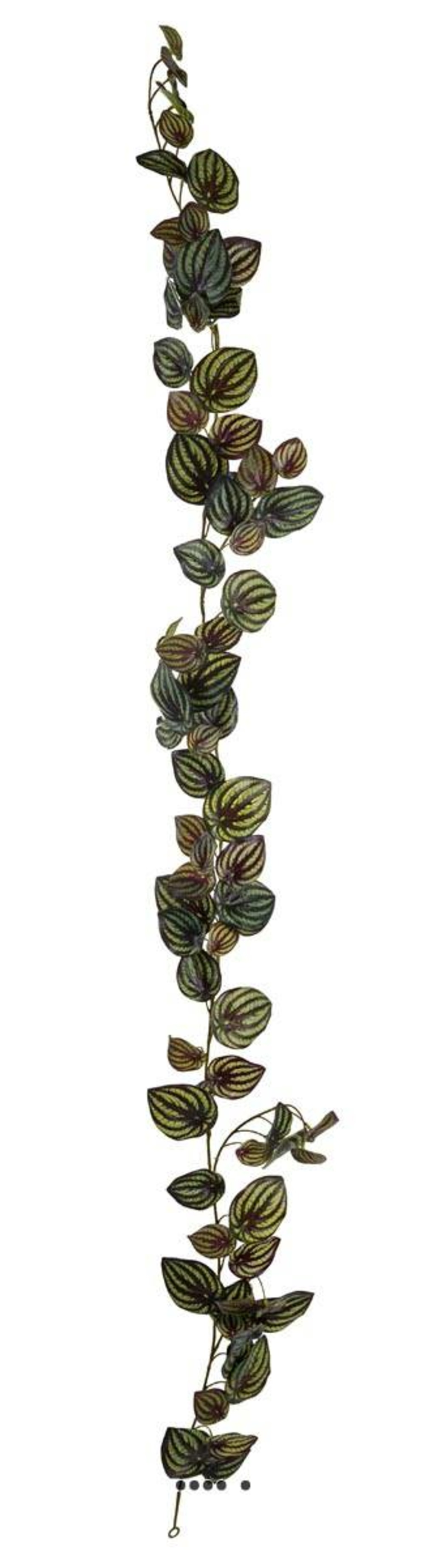 Guirlande artificielle ramifiÃ©e de pÃ©pÃ©romia