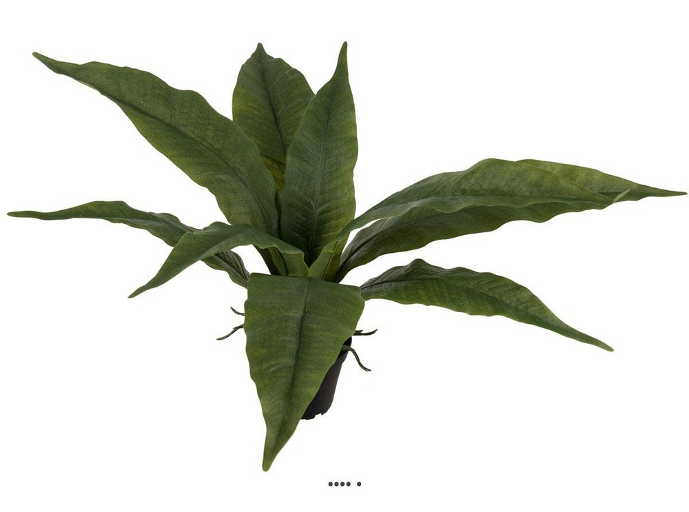 FougÃšre AsplÃ©nium artificielle en pot