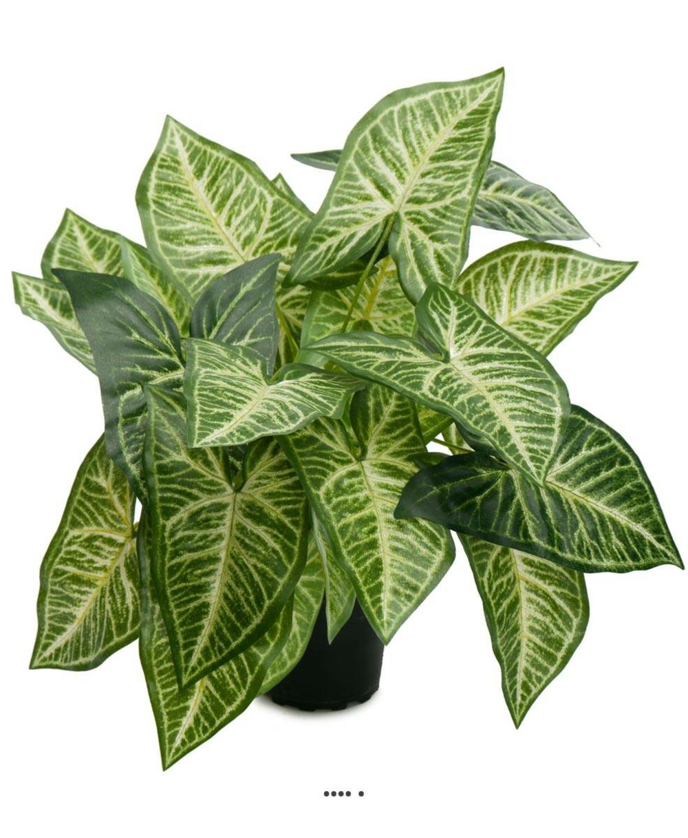 Hosta artificiel, feuillage panaché, en pot h 25 cm