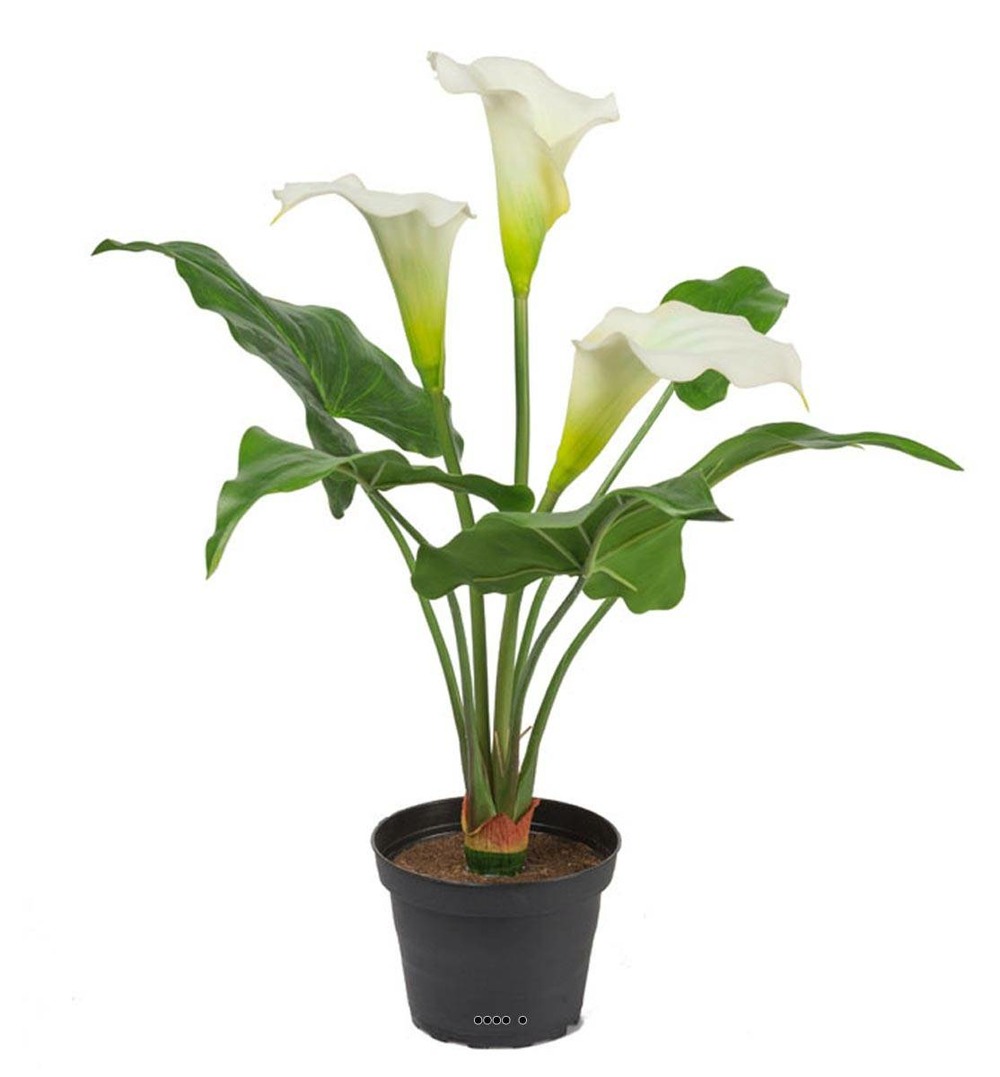 Arum calla artificiel en pot, 3 fleurs