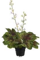 Heuchères fleuries artificielles en pot, h 45 cm d 27 cm crème - couleur: crème