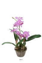 Orchidée cattleya artificielle en pot, h 60 cm