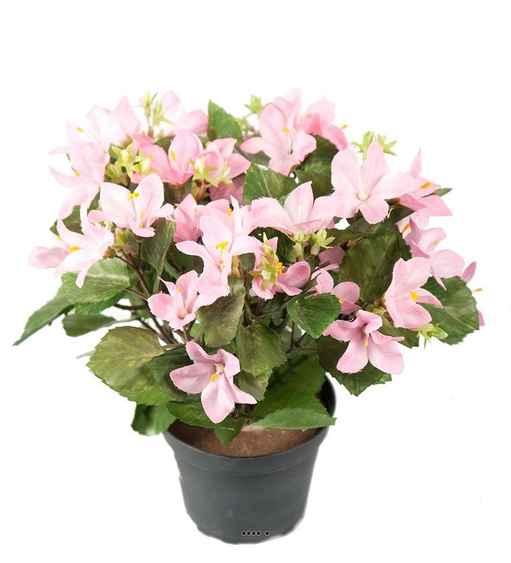 Campanules artificielles en pot