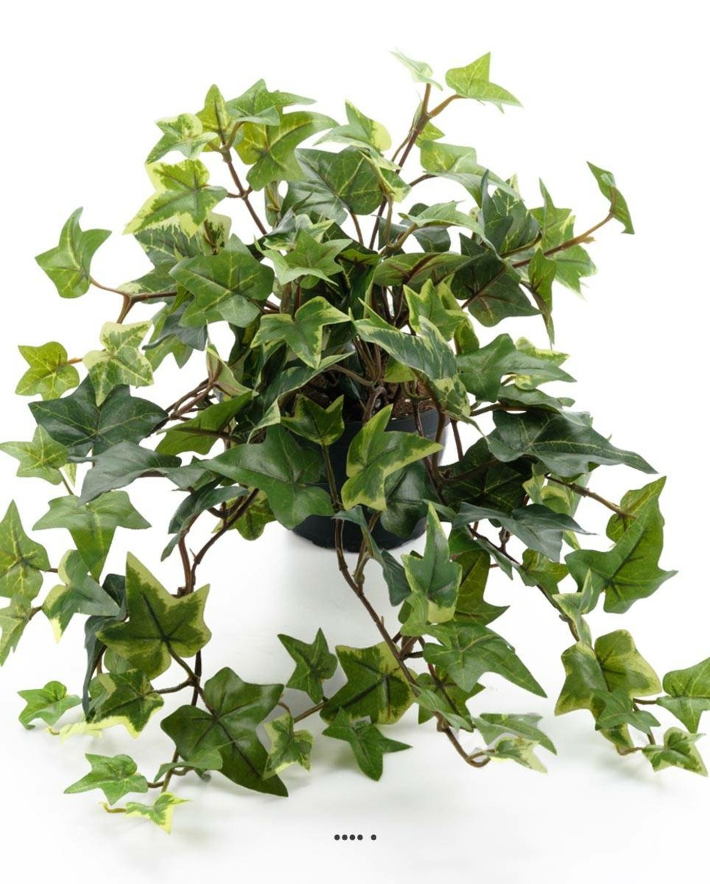 Lierre artificiel panachÃ© retombant en pot