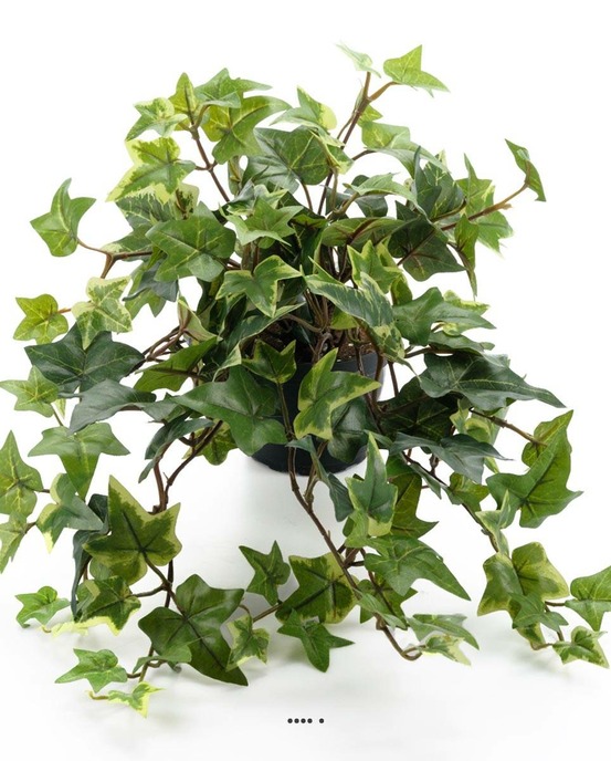 Lierre artificiel panaché retombant en pot