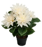Dalhia commun artificiel en pot, 5 fleurs, h 30 cm crème - couleur: crème