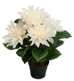 Dalhia commun artificiel en pot, 5 fleurs
