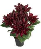 Dalhia commun artificiel en pot, 5 fleurs, h 30 cm pourpre - couleur: pourpre
