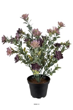 Succulente fleurie artificielle en pot