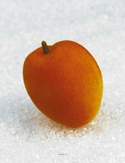 Abricot artificiel orange en lot de 2 en plastique soufflé d 55 mm