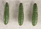 Concombre vert artificiel en lot de 3 en plastique soufflé l 180x50 mm
