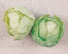 Laitue salade artificielle verte x 2 en plastique soufflé d 100 mm