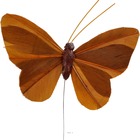 Papillons artificiels x 6 chocolat l 8 5 x h 5 cm - couleur: chocolat