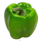 Poivron légume artificiel avec poids h 85 mm vert - couleur: vert