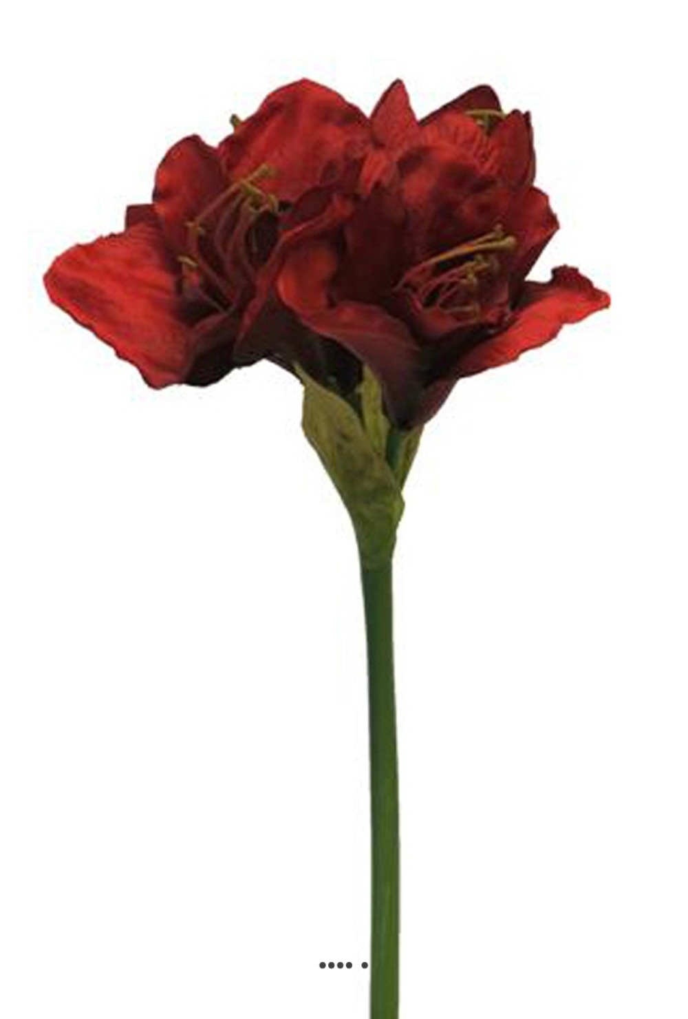 AMARYLLIS ARTIFICIEL H 65 2-(938804)