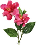 Hibiscus artificiel en branche h 65 cm 2 fleurs exotiques rose fushia - couleur: rose fushia