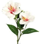 Hibiscus artificiel en branche h 65 cm 2 fleurs exotiques crème - couleur: crème