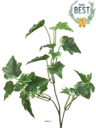 Lierre artificiel en piquet h 55 cm 24 feuilles panaché - best - couleur: blanc-